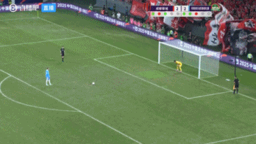 vzn, 卡多索击中