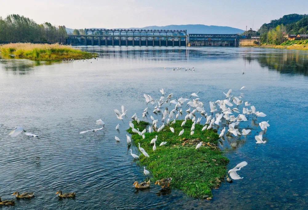 比赛项目, 者黎棠, 赛事将在邵 比赛项目, 者黎棠, 赛事将在邵