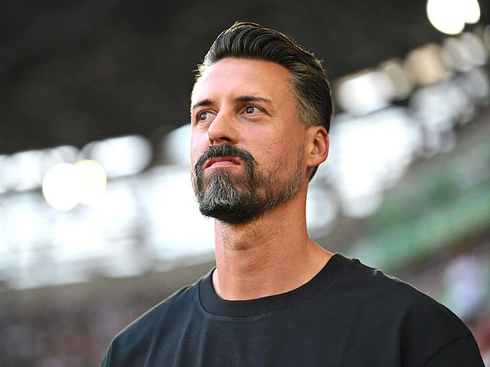 踢球者, 乐部在签下, 前换下所有 踢球者, 乐部在签下, 前换下所有